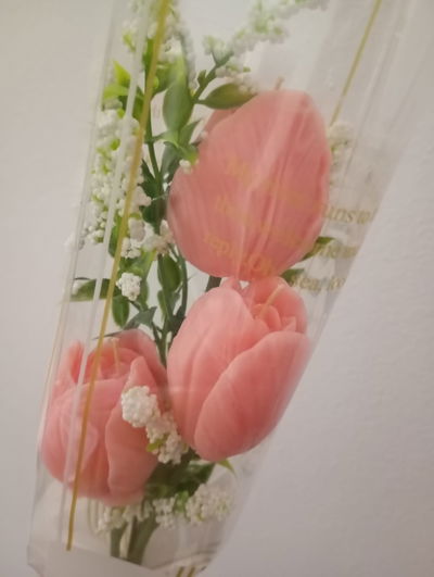 VELAS TULIPANES X3 EN RAMO