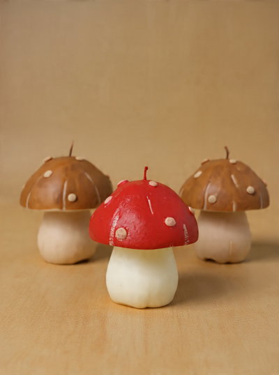 VELA HONGO