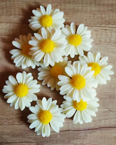 POR PEDIDO- MARGARITAS SOUVENIR POR 15 UNI