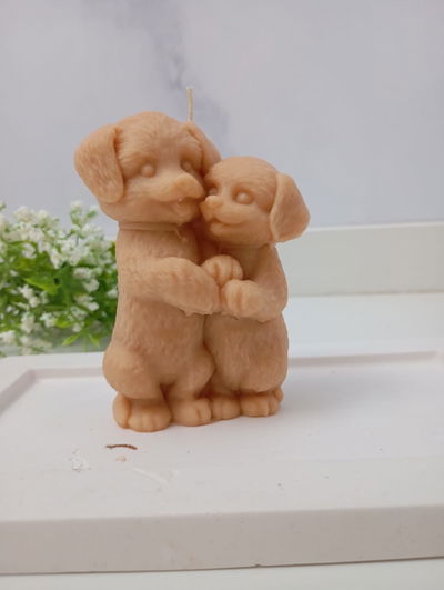 VELA PERRITOS PARADOS