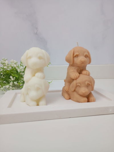 VELA PERRITOS POSANDO