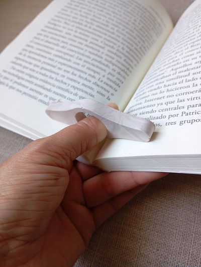 SOSTENEDOR DE PAGINAS X 2