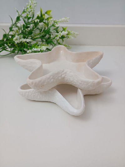 CUENCO ESTRELLA DE MAR 13*2CM