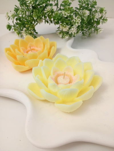 FLOR DE LOTO ABIERTA CAJA X2 U - VELA DE SOJA