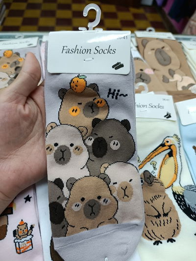Medias soquetes capibara