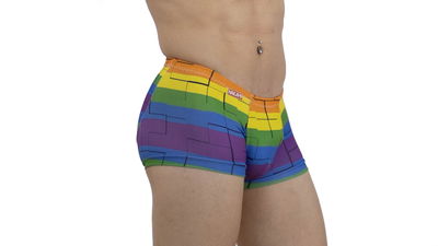 Mini boxer laberinto pride
