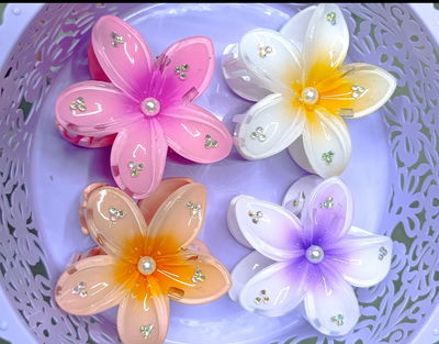 Broches Flores Hawaiana Grande