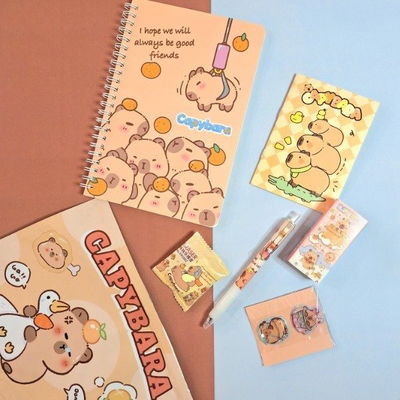 bolsita sorpresa capybara - 6 items!