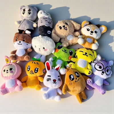 peluche llavero seventeen - mini teen cuerpo completo ✨💎