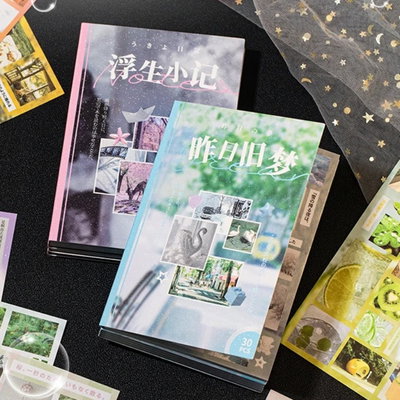 cuaderno de stickers - 30 páginas (más de 2000 stickers!) 🌸