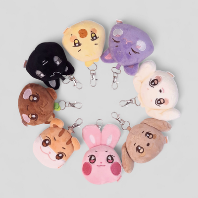 mini ANITEEZ llavero bias