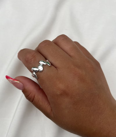 Anillo Globa