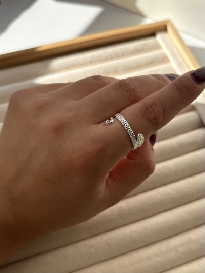 Anillo Fino