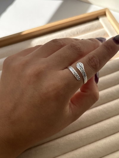 Anillo Praga