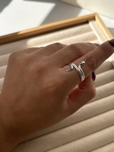 Anillo Terra