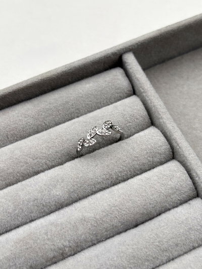 Anillo Laurel Shine