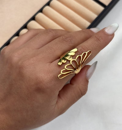 Anillo Voluer
