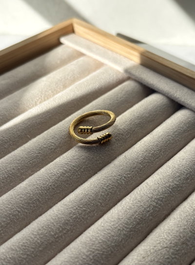 Anillo Tor