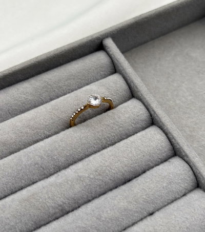 Anillo Suiza