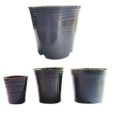 Soplada 23L - Pack x 5 Unidades