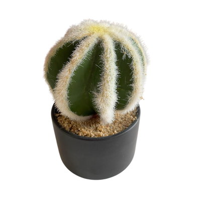Cactus Enano Espinas Blancas - Artificial 