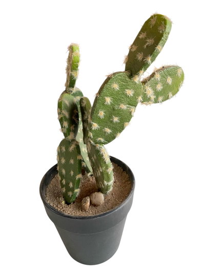 Cactus Opuntia - Artificial 