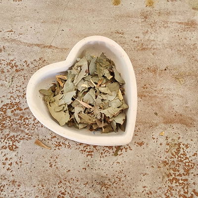 Eucaliptus hojas secas x 20gr