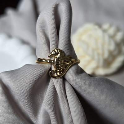 Anillo Ailén