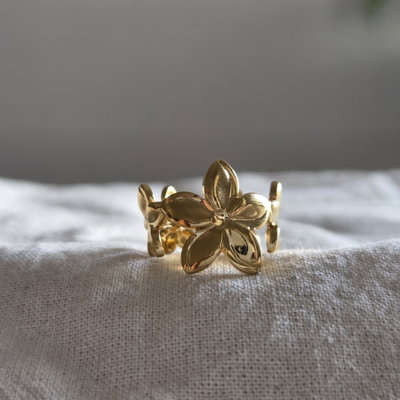 Anillo Hilary
