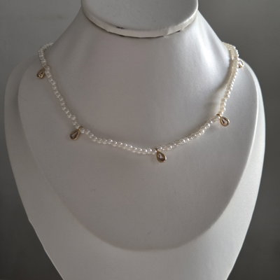 Collar Taylor