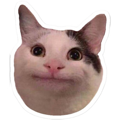 MEMES 26