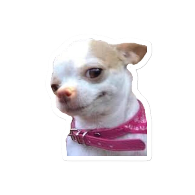 MEMES 22