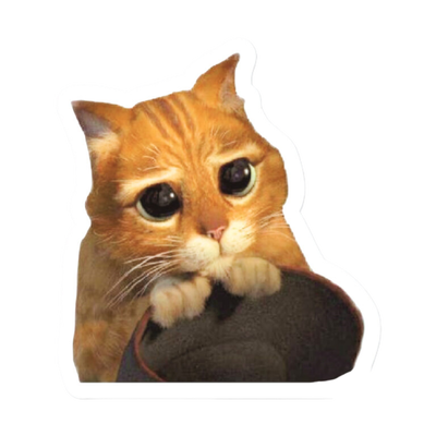 MEMES 19