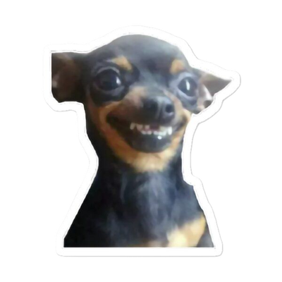 MEMES 21