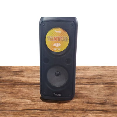 Parlante portátil KANJI HARRISON TANTOR 250W /BLUETOOTH/MICROFONO/FM/LUCES LED