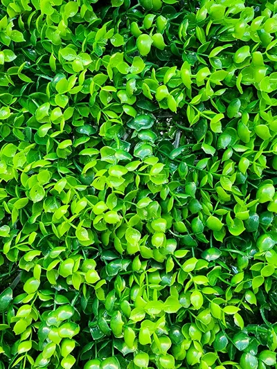 PANEL CESPED ARTIFICIAL DECORACION JARDIN 60X40