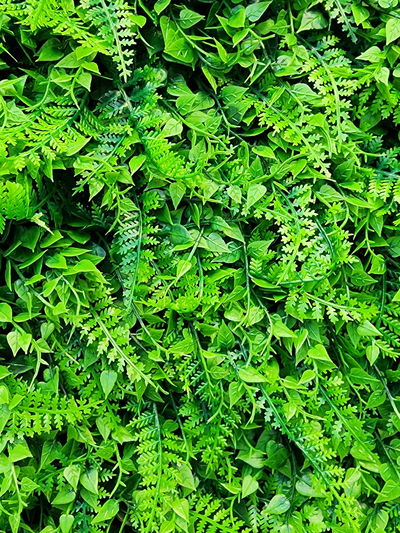 PANEL CESPED ARTIFICIAL DECORACION JARDIN 60X40