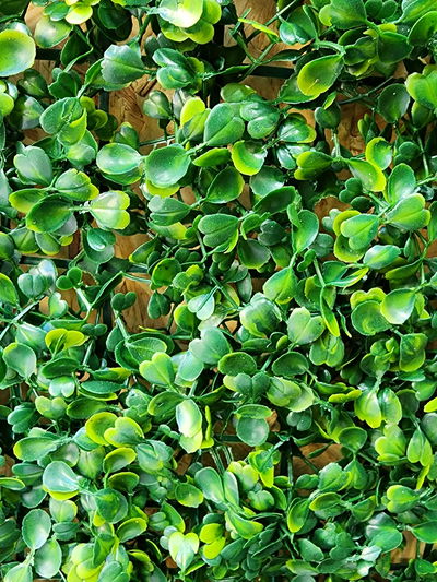 PANEL CESPED ARTIFICIAL DECORACION JARDIN 60X40