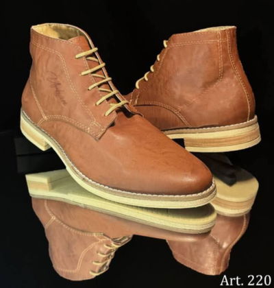 Art. 220 