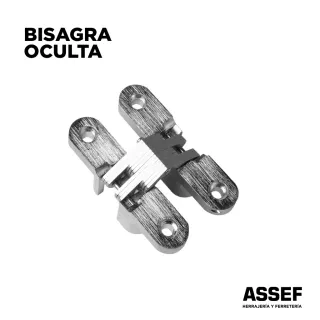 BISAGRA OCULTA 60X12MM ACERADA (PAR)