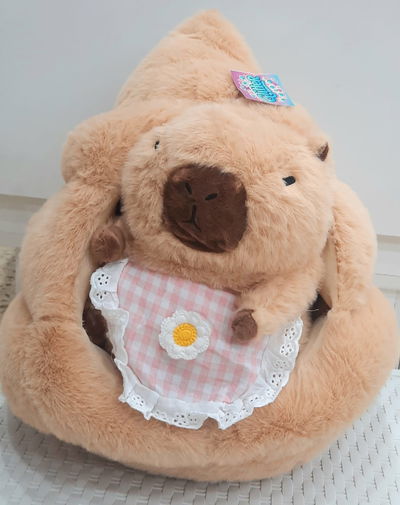 PELUCHE CAPYBARA CON CASITA 
