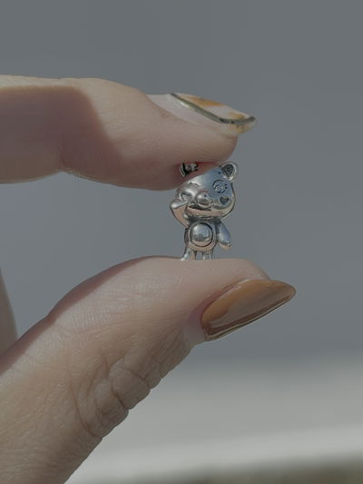 Charms oso cariñoso 