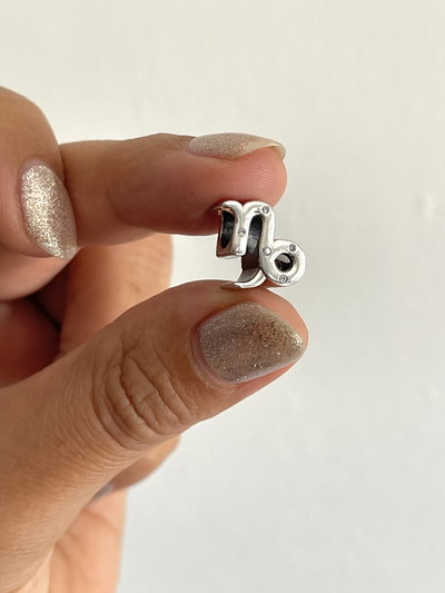 Dije Charms de Capricornio