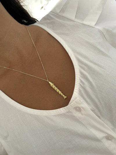 Conjunto de pez de la abundancia