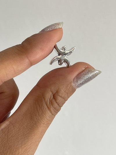 Dije Charms piscis ♓️