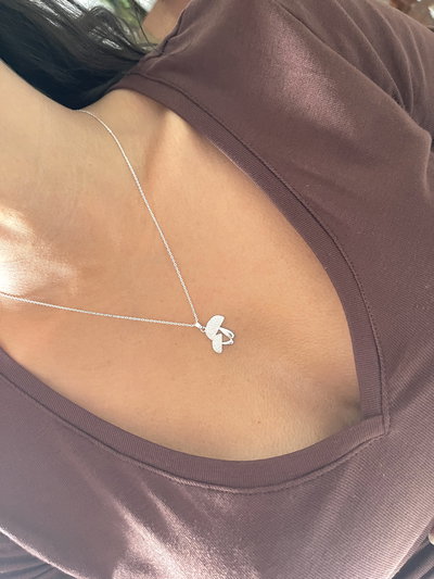 Conjunto de hongos con micropave 