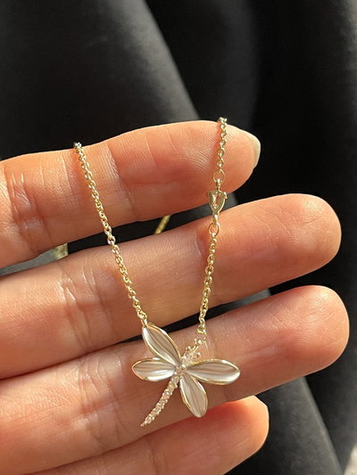Cadena con dije de libélula  Anacarada y un punto de luz z 