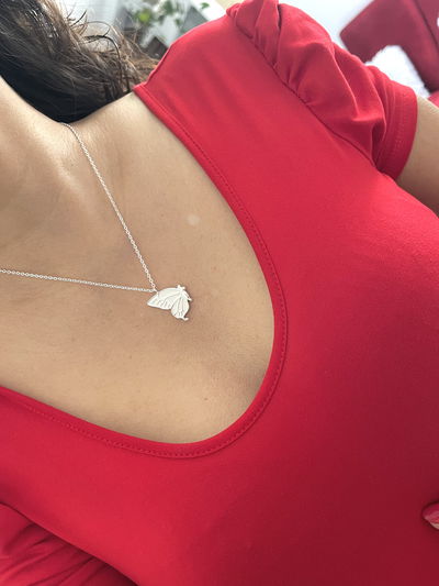 Conjunto de mariposa grande blanca 
