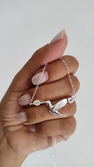 Conjunto colibrí liso 