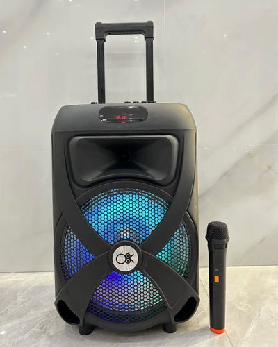 PARLANTE INALAMBRICO BLUETOOTH 12‘’ O8K